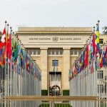 The Role of Regulatory Bodies in Ensuring Safety